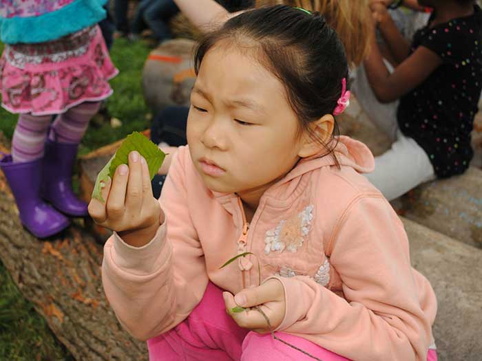 field education session, child inspecting a leaf